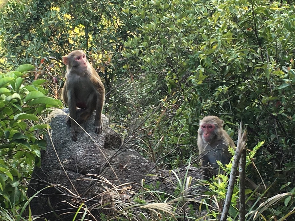 EB2B0C29-46D2-4AAA-A00E-4EE05B18F85E