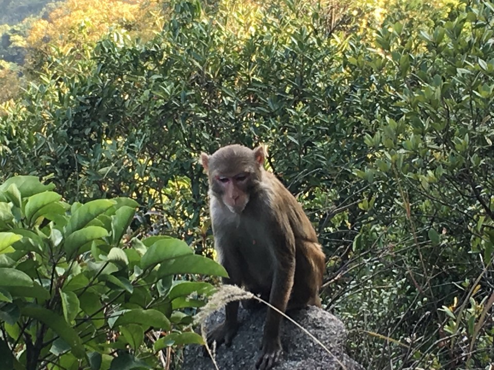 E1B8481F-F457-491F-B3BB-DDF085BEE990