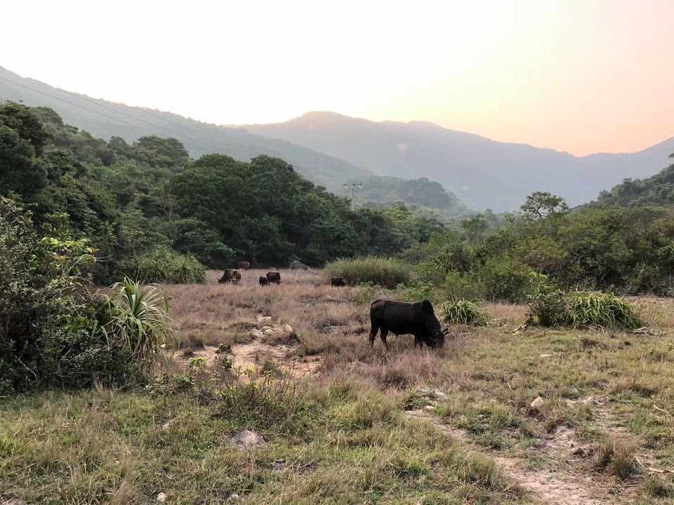 F2A22D29-D9F9-4F24-9600-4AD4C69172BC