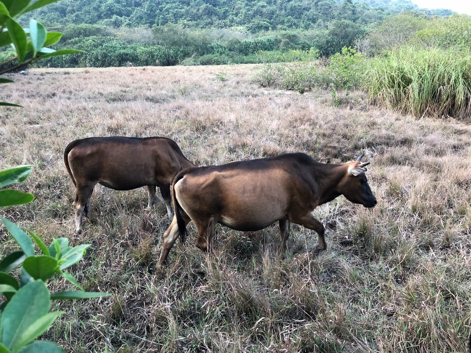 C2352419-71AD-4985-AB34-B07073C89B93