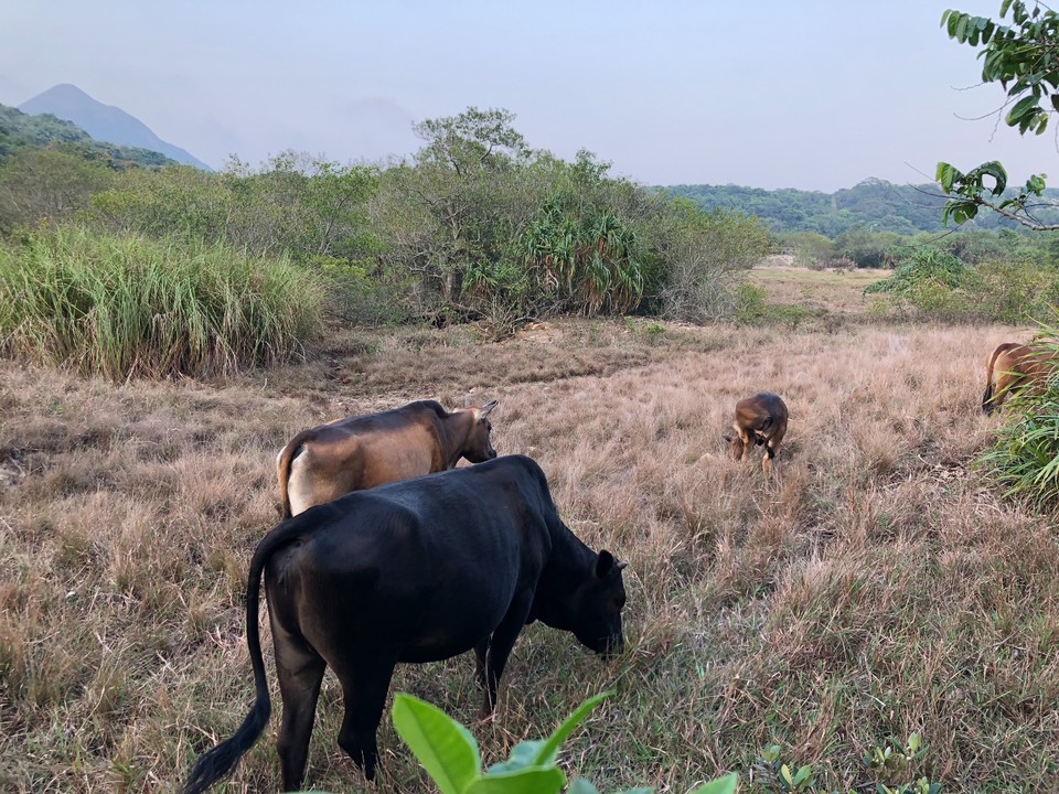 C59306BD-58E1-4F21-A3DB-A1CAA178663F