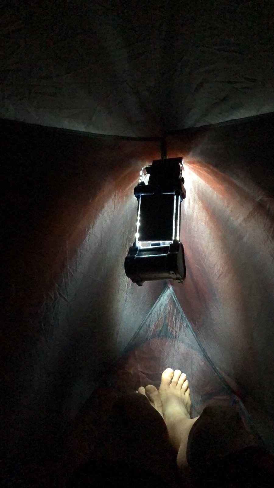 E258694C-B06B-461E-9860-93760132130A