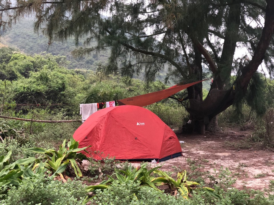 16E82957-D8E9-47BA-A252-630DB4AA14F5