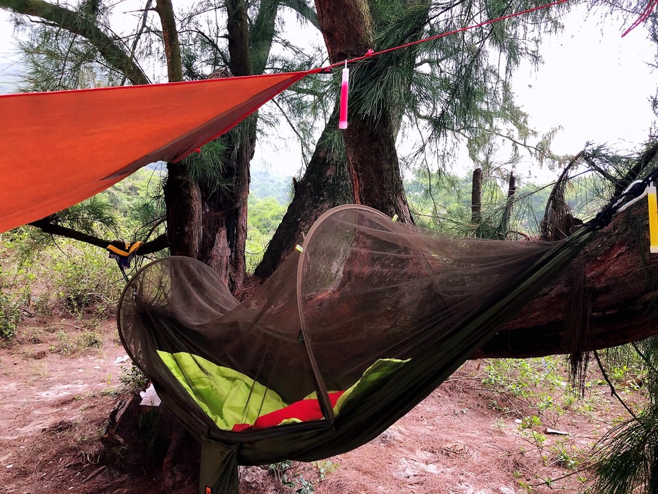 2F1534CE-AC07-43B5-8AD1-02AD9AB2ED18