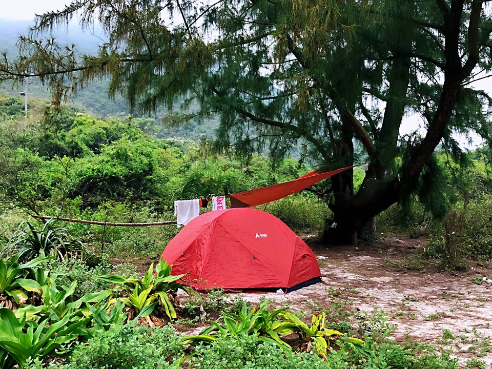 C4A1D41B-E235-4CCD-8538-6A241CF80A4C