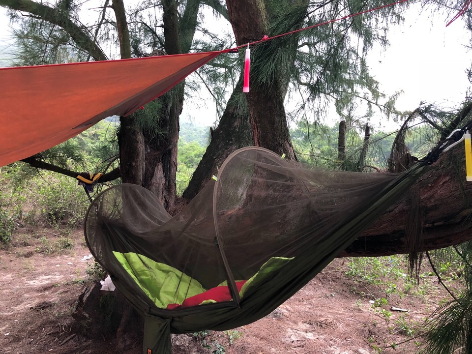 AD541F1B-8E14-4A45-B1E7-1E6BD820F2D3