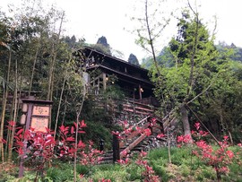 24D55274-1AD4-4A30-8F52-DA4213F77104