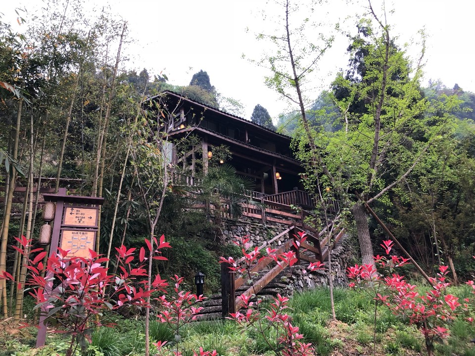 24D55274-1AD4-4A30-8F52-DA4213F77104