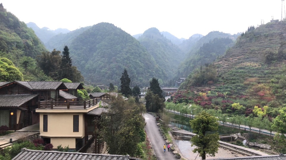 6E067EDD-5C8A-4181-8D8E-D1791E664713