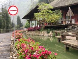 0852640B-C256-48DA-A62C-CA8F276E7F1B