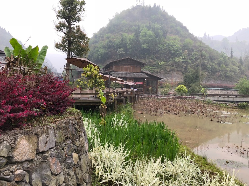 F806C225-589E-4AEE-BEDF-C9F71C968360