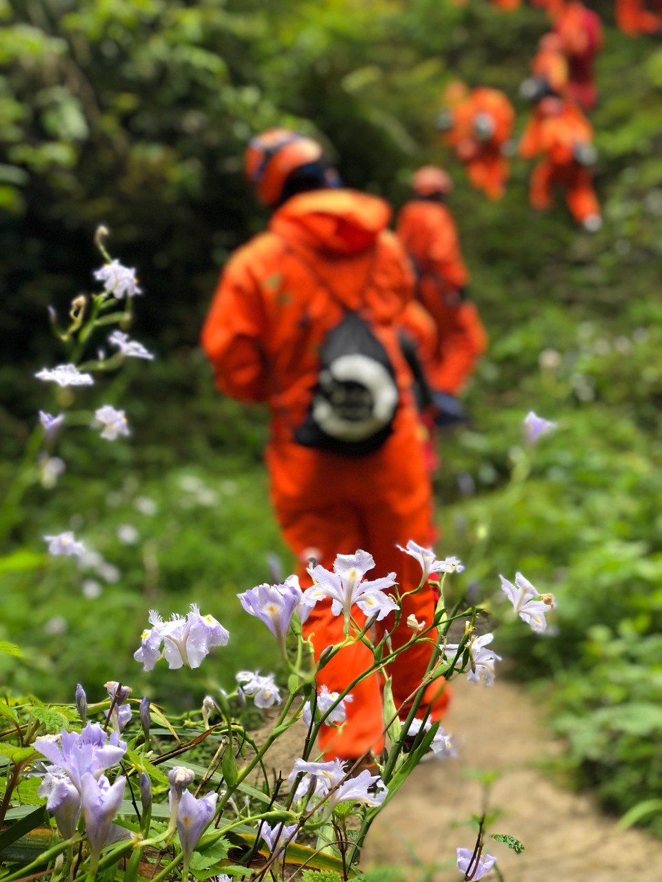 3E16BCFA-CEAA-4872-B9C6-A83A05656E5F