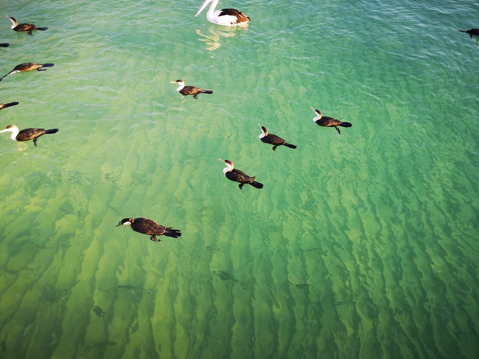 6E27B339-86CB-4446-A928-A836AC5E6705