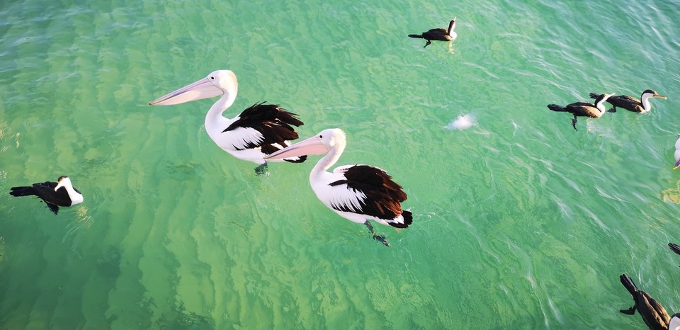 A137A727-3DC7-4633-A490-6F55B07CC5A6