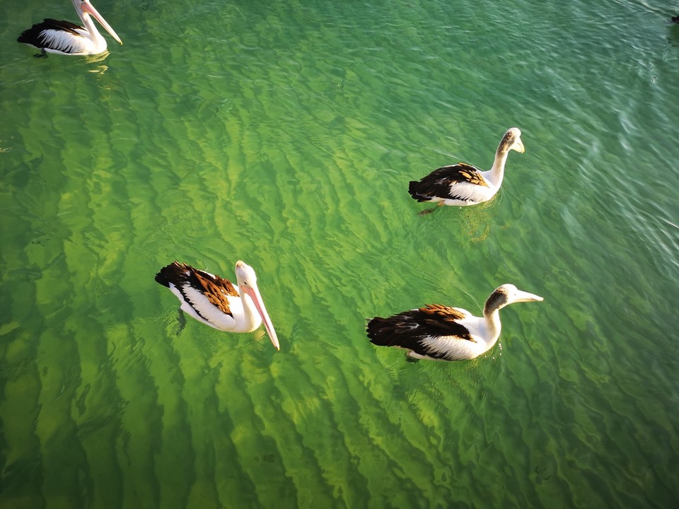 655AD3BD-B0C5-4676-ACA9-B41ACA3D1614