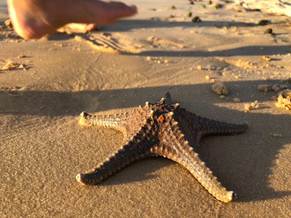 78EC6D34-A18A-4A1A-849F-8F1BD07F82AC