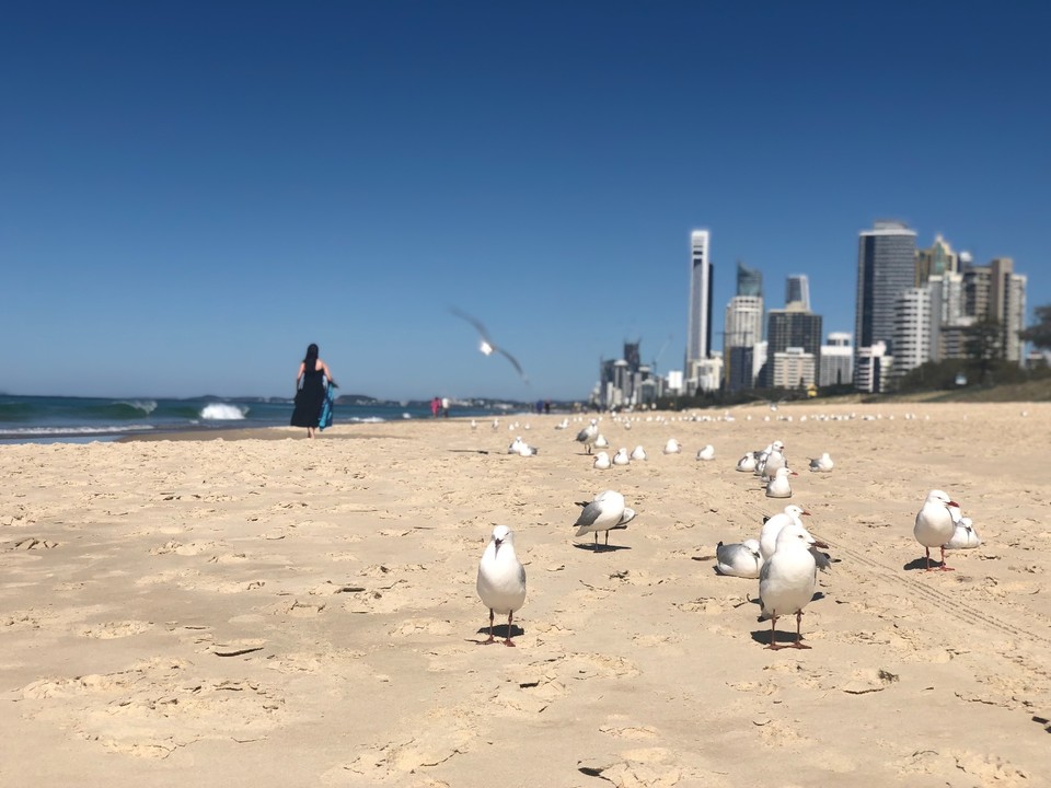 458403D6-D6E1-478A-9136-300F5CBAFC22