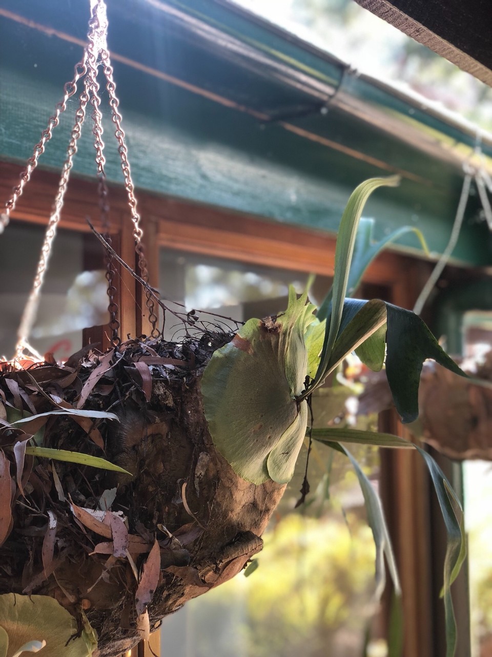 9B7C6CB7-ABFF-4C87-99AA-C649074F874B