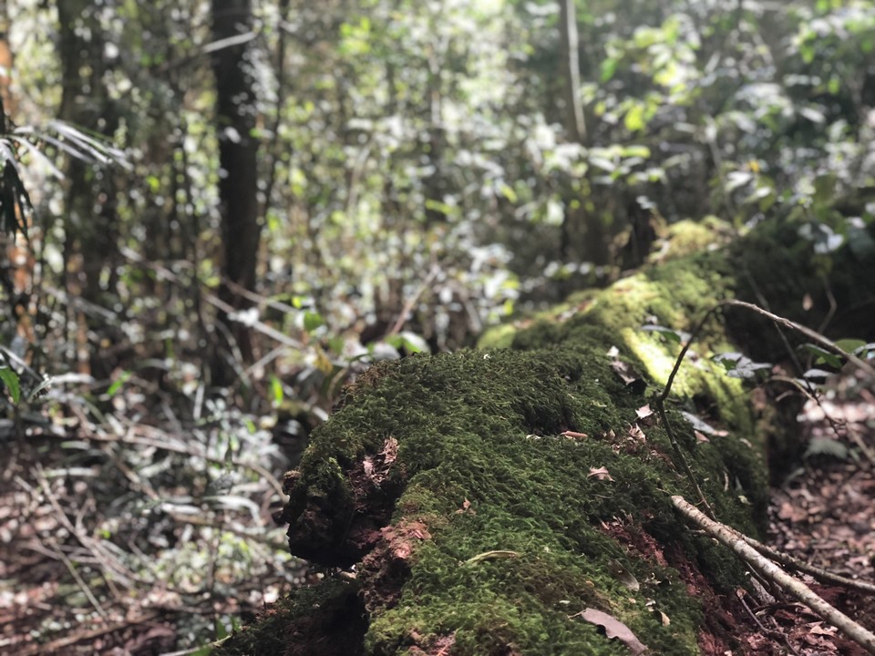 E288FFBA-1B51-45FB-B052-2722F9A87A20