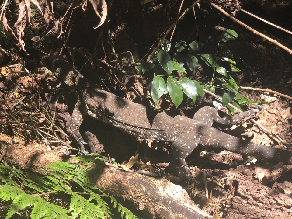 BB53C553-7323-4CB0-B512-79DE0DE662AC