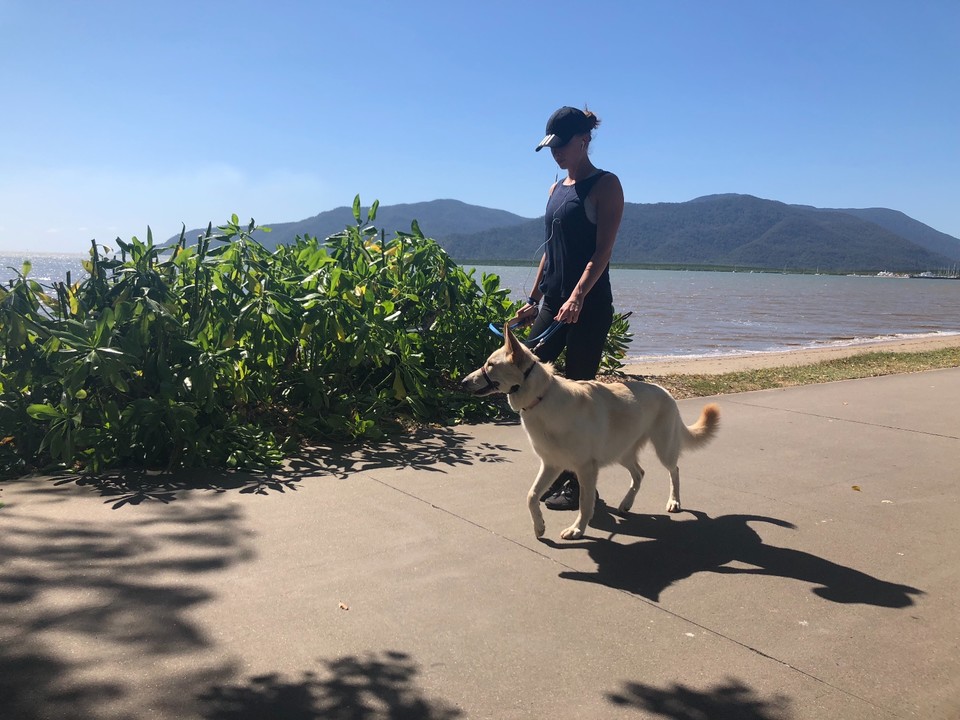 214D2B0D-6342-420A-A161-83C3BAC11F4A