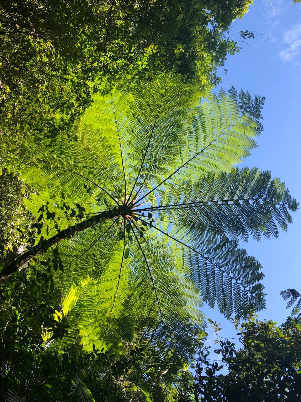 CCA13730-5F9B-423E-B3C1-967AC38BF7C3