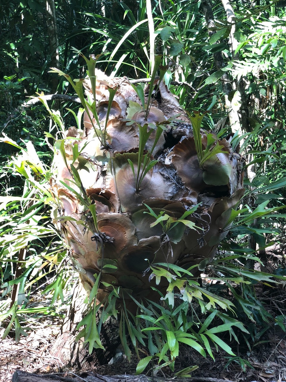 546F5C83-1D69-448E-A542-941192666072