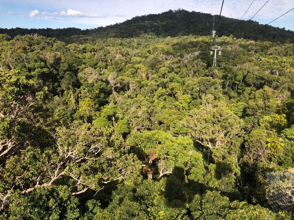 7A0D9485-5AEA-41A6-9F87-204374372FBB