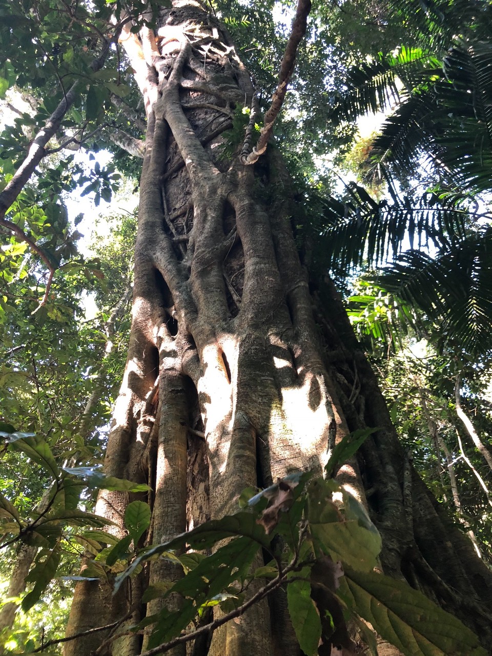 AFCFF03E-A000-4C4A-B4AD-41FEB84D1FAA