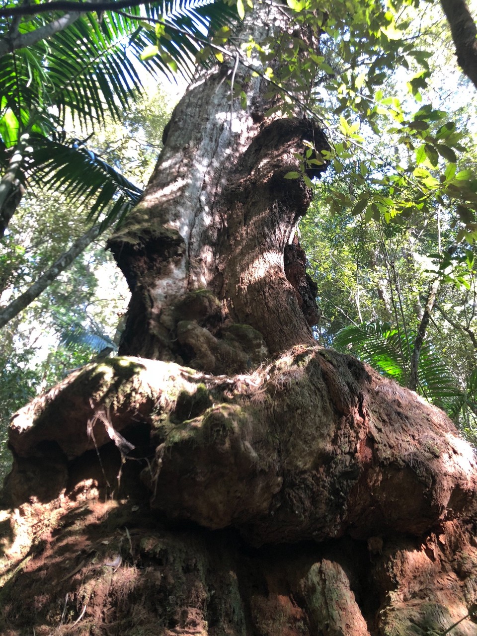 33426F11-48FF-4610-BF3D-FC9F97584973