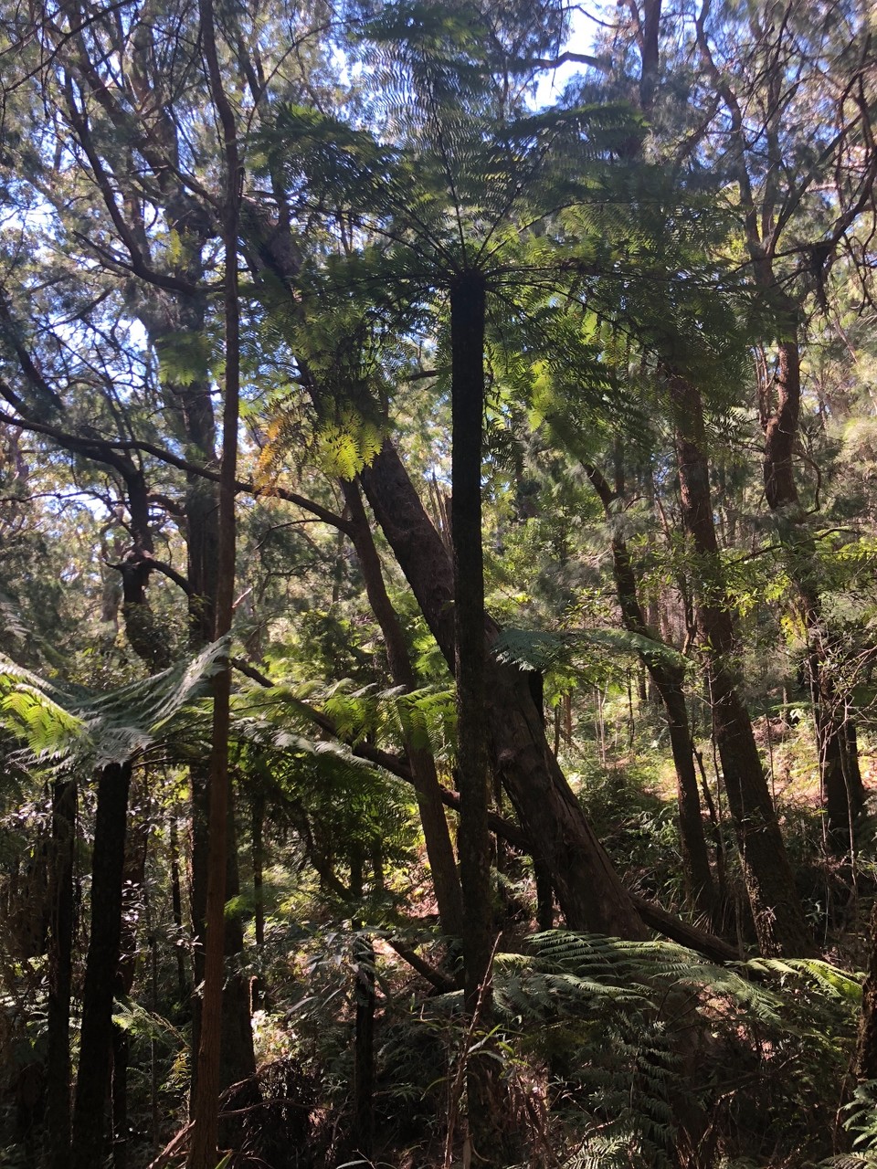 0DC79003-760F-46B2-A8C8-272B2BA31711