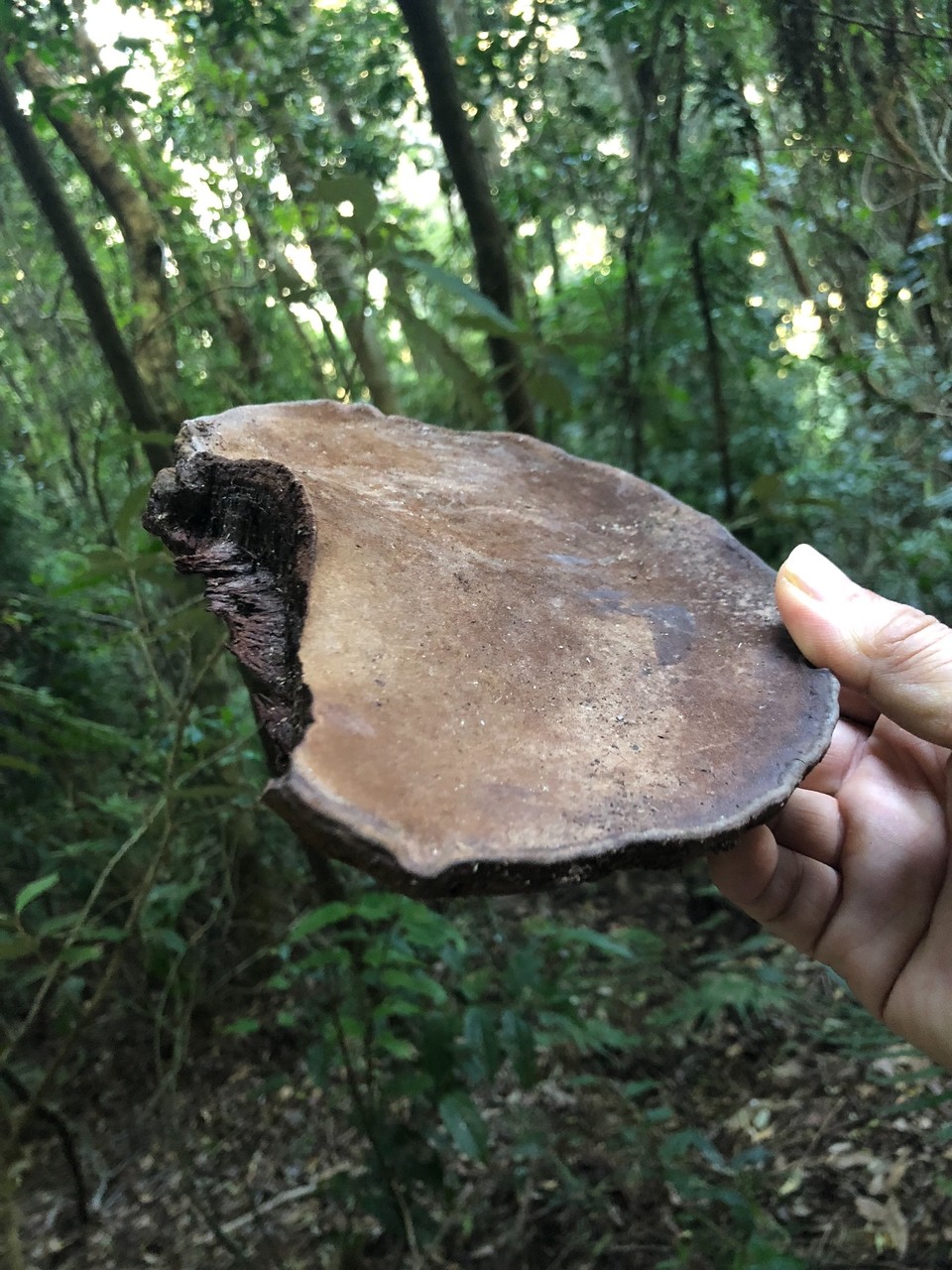 7BEF33B1-E3A5-4CC3-8064-9A87C69441F3