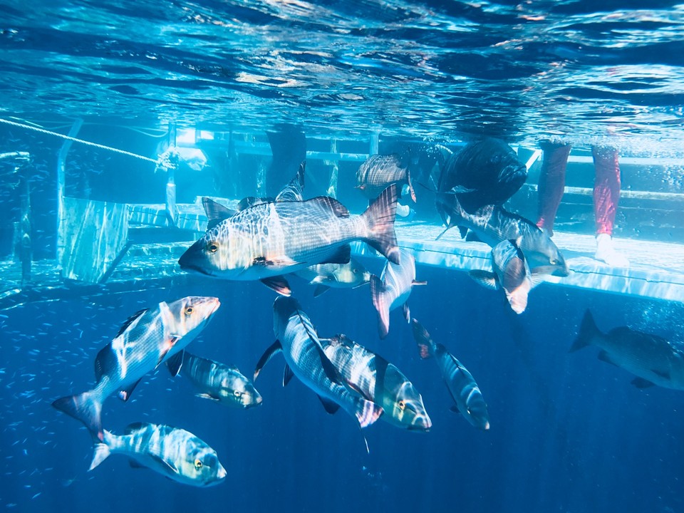 CA5CB541-8BD1-4053-A995-694962DAC9A6