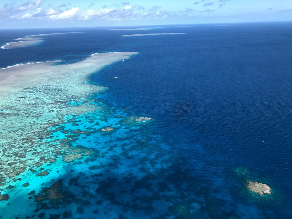 CFF21FDB-52D8-4960-8BA5-AC9708E3B5C1