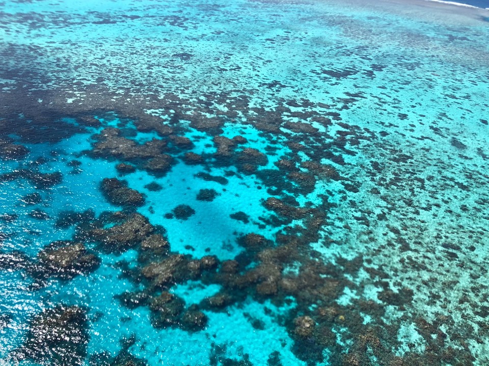 54EB3287-05E9-4A64-92C9-BBBB109B01A5