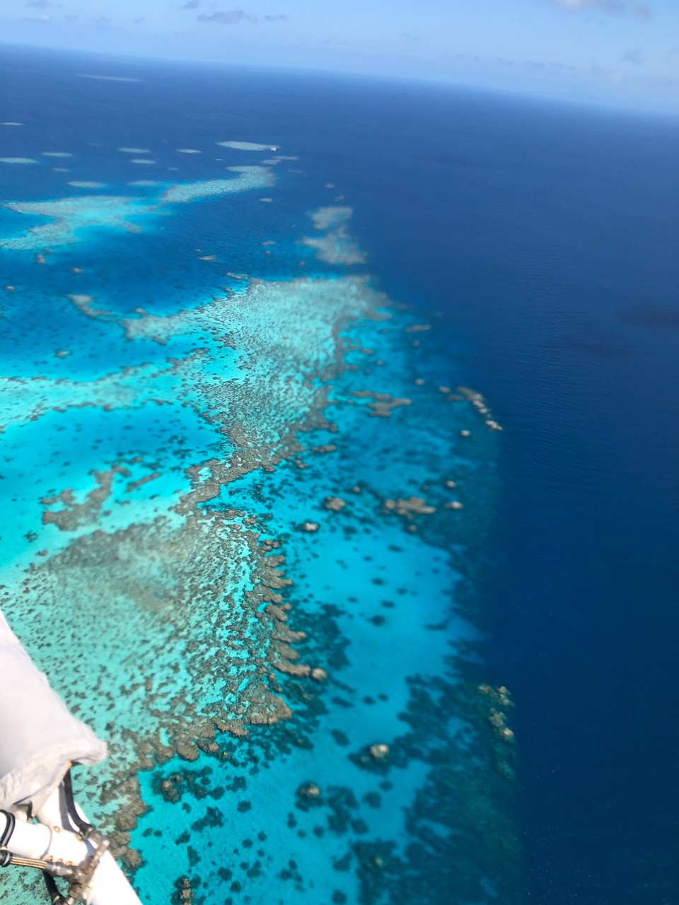 A8644451-8824-4740-B90E-3735EFD4DC9F