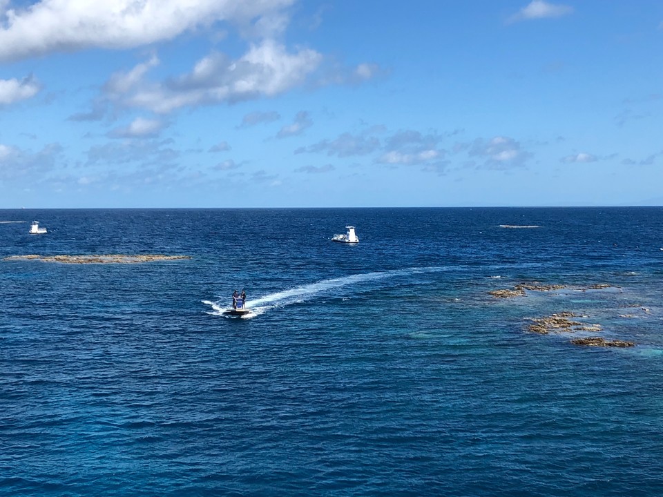 E4FD84E4-DAD8-43CC-BF81-5C78FE831EF3