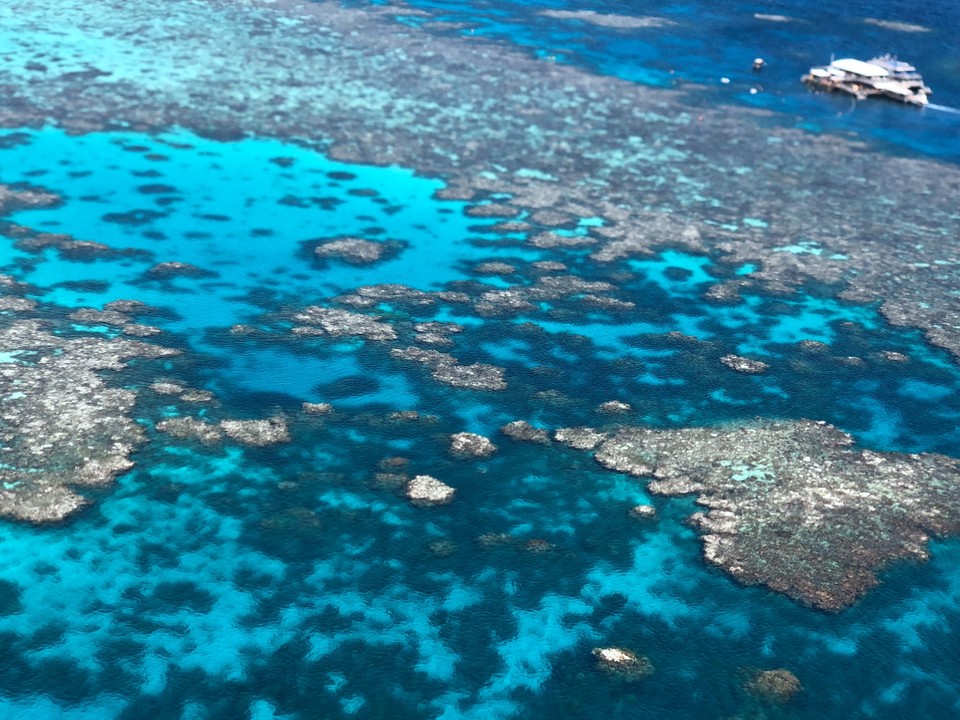 1B1BCE2B-5195-4666-89FE-98FCB859285F