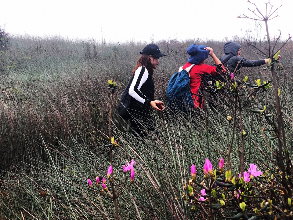 37A331F8-9C54-4E0A-864A-3D93F1F47901