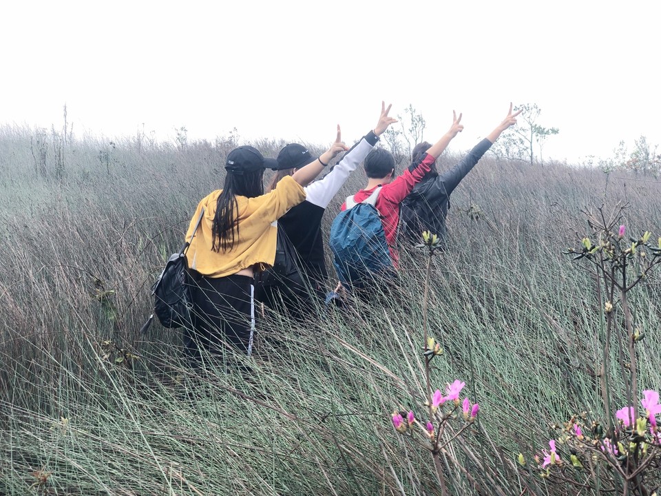 E66823AC-A089-40DF-800E-44208FA78D82