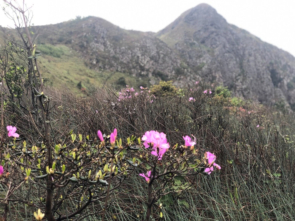 1CF2E439-EDDA-419F-A0B3-1D89DAF47BFF