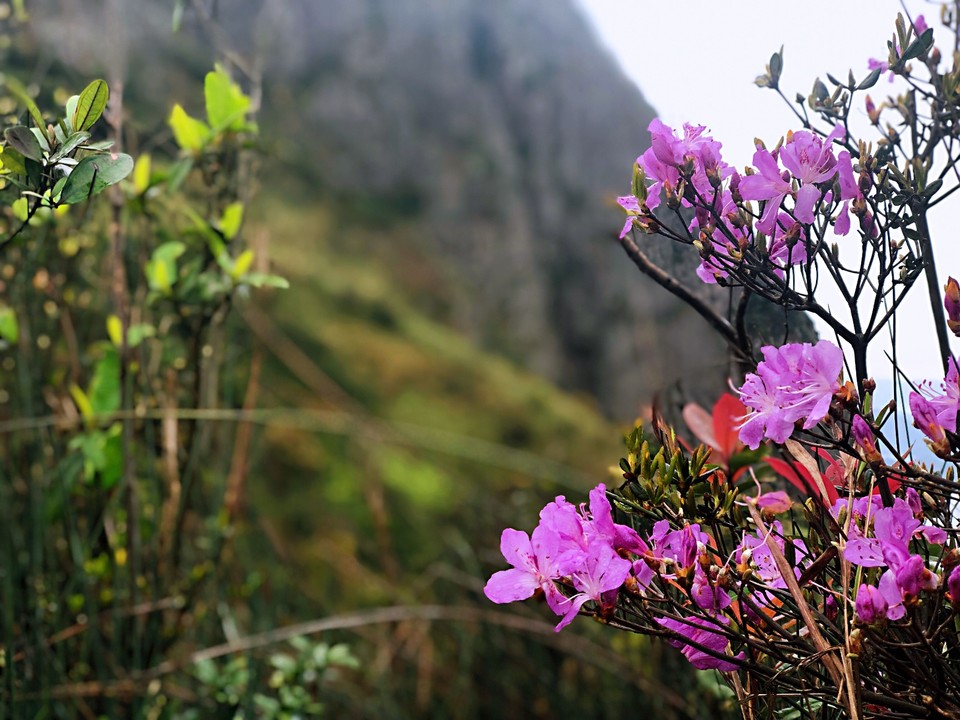 BE230847-E707-4456-B71F-5A6D86E33732