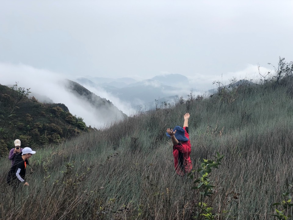 8F6785F4-B7E2-4021-90D4-FDFE19A13EDC