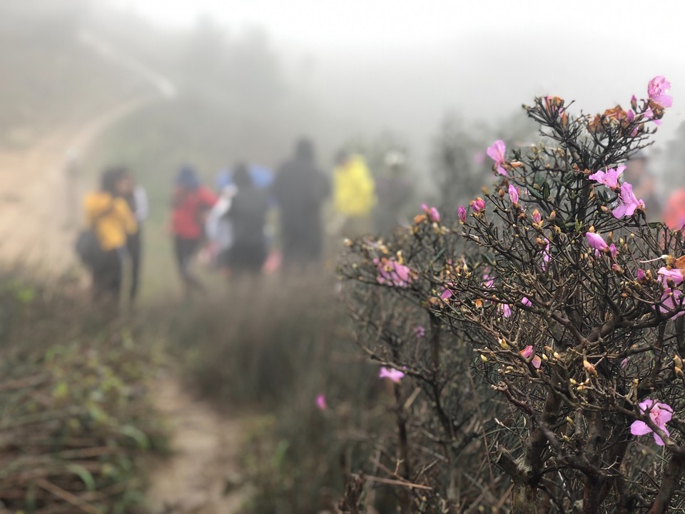 8145738A-9EFB-44C7-AC59-93F208200933