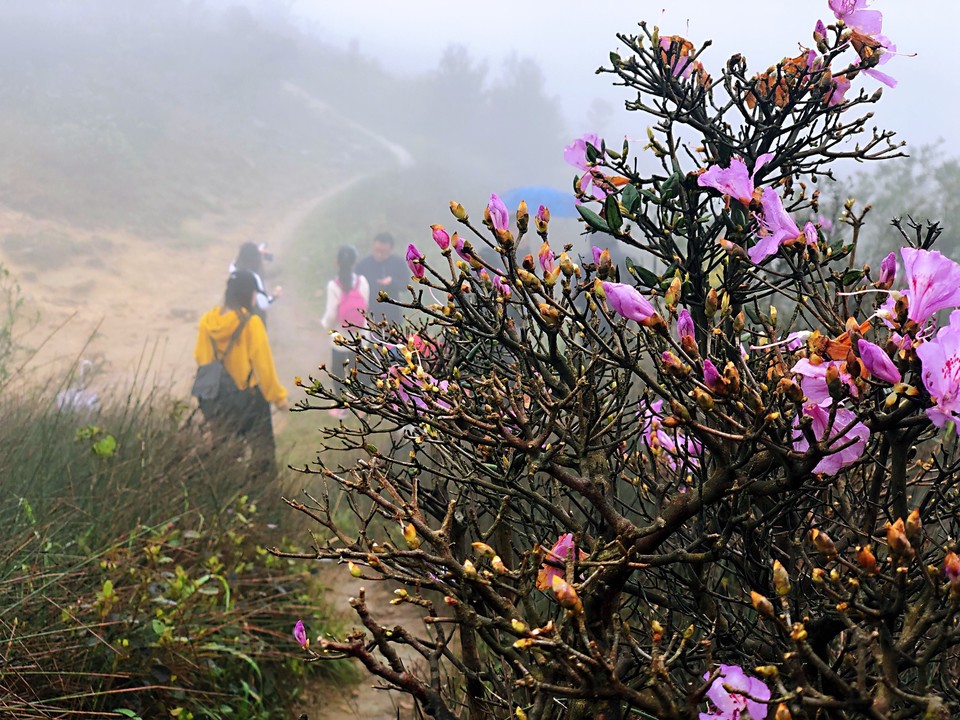 382FD6B7-65A0-476A-B8B1-9AD367BB688F