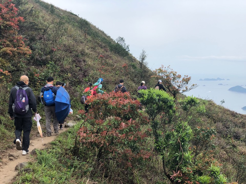 54927775-2889-4DE5-8650-80AC12726C00