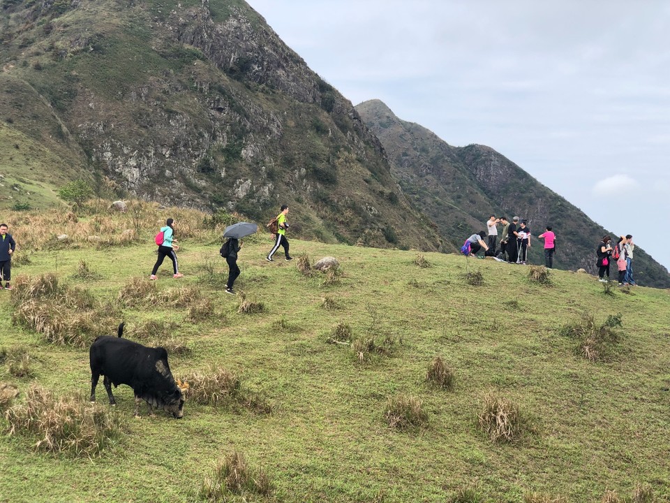 63A83969-6544-43C6-BF63-B35628F56EF0