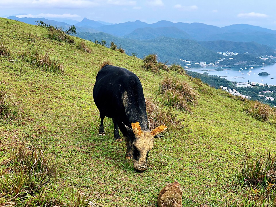 977D096A-A05F-458A-B90D-423F3A567DC7