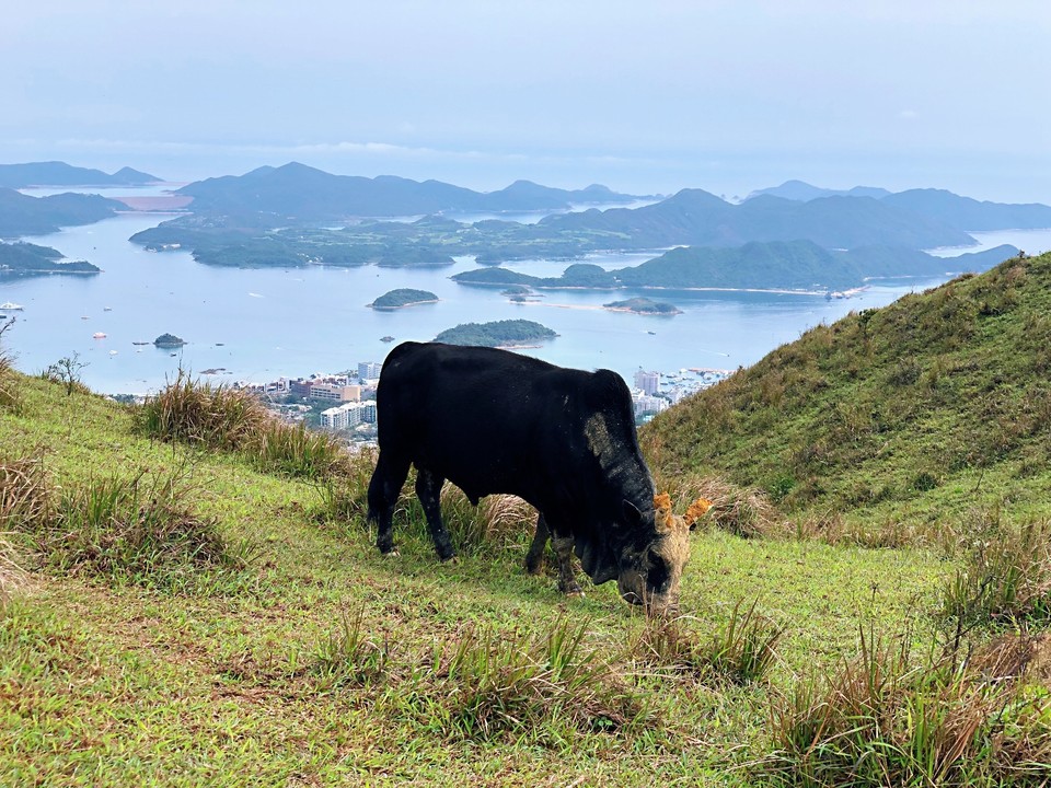 053E9F82-BD18-439A-8725-31DFB9BDB17F