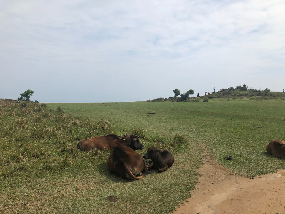 C67EB584-E8F0-49D4-ADBA-B0F5F483C4EC